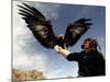 Takhuu Raising His Eagle, Golden Eagle Festival, Mongolia-Amos Nachoum-Mounted Photographic Print