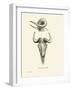 Takin Skull-null-Framed Giclee Print