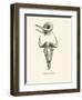 Takin Skull-null-Framed Premium Giclee Print