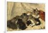 Taking a Cat Nap-Henriette Ronner-Knip-Framed Giclee Print