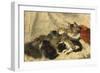 Taking a Cat Nap-Henriette Ronner-Knip-Framed Giclee Print