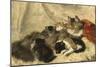 Taking a Cat Nap-Henriette Ronner-Knip-Mounted Giclee Print