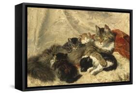 Taking a Cat Nap-Henriette Ronner-Knip-Framed Stretched Canvas