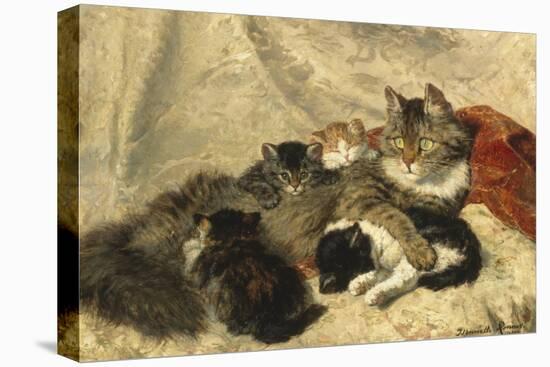 Taking a Cat Nap-Henriette Ronner-Knip-Stretched Canvas