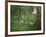 Taking a Walk-George Inness-Framed Giclee Print