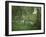 Taking a Walk-George Inness-Framed Giclee Print