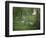 Taking a Walk-George Inness-Framed Premium Giclee Print