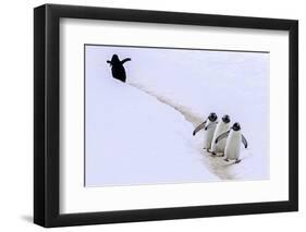 Taking a Wrong Turn-Art Wolfe-Framed Photographic Print