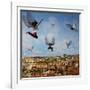 Taking Flight, 2009-Trygve Skogrand-Framed Giclee Print