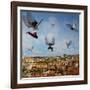 Taking Flight, 2009-Trygve Skogrand-Framed Giclee Print