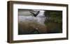 Taking Flight-Steve Hunziker-Framed Art Print