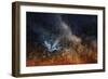 Taking Flight-Bobbie Goodrich-Framed Giclee Print