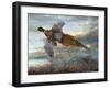 Taking Flight-Carolyn Mock-Framed Art Print