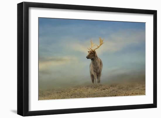 Taking in the View-Jai Johnson-Framed Giclee Print