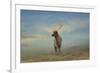 Taking in the View-Jai Johnson-Framed Giclee Print