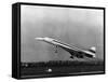 Taking Off for the First Time at 3.30 P.M. Is Concorde 001-null-Framed Stretched Canvas