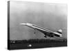 Taking Off for the First Time at 3.30 P.M. Is Concorde 001-null-Stretched Canvas