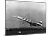 Taking Off for the First Time at 3.30 P.M. Is Concorde 001-null-Mounted Premium Photographic Print