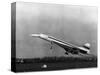Taking Off for the First Time at 3.30 P.M. Is Concorde 001-null-Stretched Canvas