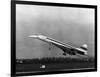 Taking Off for the First Time at 3.30 P.M. Is Concorde 001-null-Framed Photographic Print