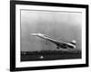 Taking Off for the First Time at 3.30 P.M. Is Concorde 001-null-Framed Photographic Print