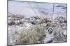 Taking the Gondola Up the Mountain at Telluride Ski Resort-Howie Garber-Mounted Photographic Print