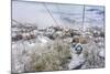 Taking the Gondola Up the Mountain at Telluride Ski Resort-Howie Garber-Mounted Photographic Print