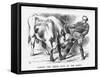 Taking the (Iris) Bull by the Horns, 1870-Joseph Swain-Framed Stretched Canvas