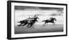 Taking the Lead-Steven Zhou-Framed Photographic Print