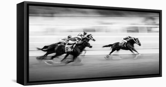 Taking the Lead-Steven Zhou-Framed Stretched Canvas