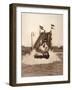 Taking the Plunge-null-Framed Photographic Print