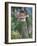 Taktsang (Tiger's Nest) Dzong Perched on Edge of Steep Cliff, Paro Valley, Bhutan-Keren Su-Framed Photographic Print