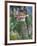 Taktsang (Tiger's Nest) Dzong Perched on Edge of Steep Cliff, Paro Valley, Bhutan-Keren Su-Framed Photographic Print