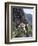 Taktshang Goemba (Tiger's Nest) Monastery, Paro, Bhutan, Asia-Angelo Cavalli-Framed Photographic Print