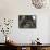 Taktshang Goemba (Tigers Nest Monastery) with Prayer Flags and Cliff, Paro Valley, Bhutan, Asia-Eitan Simanor-Framed Stretched Canvas displayed on a wall