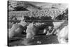 Taku Glacier near Juneau, Alaska Photograph - Juneau, AK-Lantern Press-Stretched Canvas