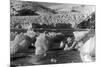 Taku Glacier near Juneau, Alaska Photograph - Juneau, AK-Lantern Press-Mounted Art Print