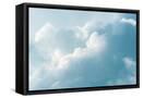 Framed Canvas