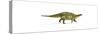 Talarurus Dinosaur on White Background-null-Stretched Canvas