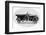 Talbot Car-null-Framed Photographic Print