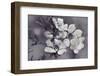 Tales from an Enchanted Glen I-Gillian Hunt-Framed Photographic Print