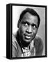 Tales of Manhattan, Paul Robeson, 1942-null-Framed Stretched Canvas