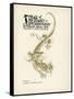 Tales of Mystery and Imagination-Arthur Rackham-Framed Stretched Canvas