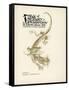 Tales of Mystery and Imagination-Arthur Rackham-Framed Stretched Canvas