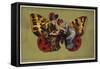 Tales of the Thousand and One Nights-null-Framed Stretched Canvas