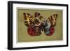 Tales of the Thousand and One Nights-null-Framed Giclee Print
