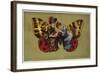 Tales of the Thousand and One Nights-null-Framed Giclee Print