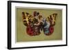 Tales of the Thousand and One Nights-null-Framed Giclee Print