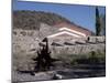 Taliesin West by Frank Lloyd Wright, Arizona, USA-null-Mounted Premium Photographic Print