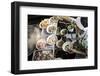 Taling Chan Floating Market, Bangkok, Thailand, Southeast Asia, Asia-Andrew Taylor-Framed Photographic Print